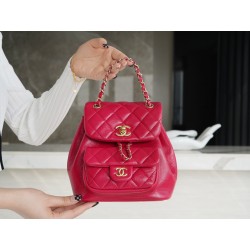 샤넬 듀마 백팩  AS2908 JD
